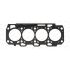 USZCZELKA GŁOWICY PAYEN AH6880 FIAT 16V 1.6JTD 03-