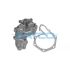 POMPA WODY DAYCO DP266 RENAULT 1.6D-2.0D+B 84-