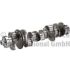 WAŁ KORBOWY BF 20050790000 SCANIA DC9 96-