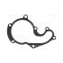 USZCZELKA POMPY WODY VICTOR REINZ 70-36302-00 FORD 1.8TDCI 98-