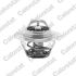 TERMOSTAT VERNET TH6045.83J RENAULT 1.9D 00-