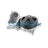 POMPA WODY DAYCO DP384 BMW 3.0 10-20