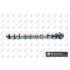 WAŁEK ROZRZĄDU BGA CS6373 RENAULT 2.3DCI 14-