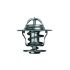 TERMOSTAT MAHLE TX1392D RENAULT 2.0-2.5 95-01