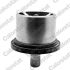 TERMOSTAT VERNET THS19094.80 BMW 4.0-5.0 98-