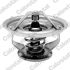TERMOSTAT VERNET TH7137.83J RVI MIDR06 90-
