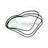 PASEK WIELOROWKOWY MV PARTS 6N5337 CATERPILLAR 3406B -