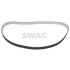 PASEK ROZRZĄDU SWAG 62939100 PSA 1.4D 09-
