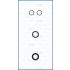 KOMPLET USZCZELEK WTRYSKIWACZA AJUSA 77011200 PSA 1.2PURETECHI 13-