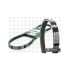 PASEK WIELOROWKOWY DAYCO 4PK830