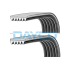 KOMPLET PASKA WIELOROWKOWEGO DAYCO PVE003 FORD 1.2-1.6 00-14