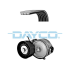 KOMPLET PASKA WIELOROWKOWEGO DAYCO KPV419 FORD 2.0 14-20