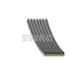 PASEK WIELOROWKOWY SWAG 33110878 HY/KIA 1.6CRDi 15-23