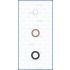 KOMPLET USZCZELEK WTRYSKIWACZA AJUSA 77033600 FIAT 1.0-1.3 18-