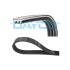 PASEK WIELOROWKOWY DAYCO 3PK798EE MAZDA 2.0 12-20