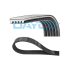 PASEK WIELOROWKOWY DAYCO 5PK1095S