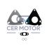 KOMPLET USZCZELEK TURBOSPRĘŻARKI CER A16009 ROVER 3.6TD 06-