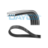 PASEK WIELOROWKOWY DAYCO 4PK736