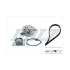 KOMPLET ROZRZĄDU DOLZ KD247 RENAULT 1.9DCi 08-
