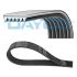 PASEK WIELOROWKOWY GATES 6PK1700