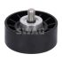 NAPINACZ PASKA SWAG 50917675 ZETEC,DOHC