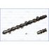 WAŁEK ROZRZĄDU AJUSA 93007000 NISSAN CD20 91-96