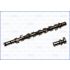 WAŁEK ROZRZĄDU AJUSA 93149100 RENAULT 1.5DCI 00-