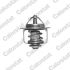 TERMOSTAT VERNET TH6858.89J OPEL 1.7CDTI 00-