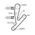 PASEK ROZRZĄDU GATES 5592XS FIAT 2.3D 01-