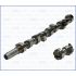 WAŁEK ROZRZĄDU AJUSA 93115500 FORD 1.8TDCI/TDDI 00-