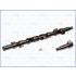 WAŁEK ROZRZĄDU AJUSA 93056600 RENAULT 1.8 91-98