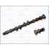 WAŁEK ROZRZĄDU AJUSA 93102100 NISSAN 1.4 16V ss 95-00