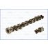 WAŁEK ROZRZĄDU AJUSA 93058300 FORD 1.8 16V ss 93-98