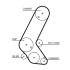 PASEK ROZRZĄDU GATES 5595XS OPEL 1.7D 01-
