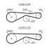 PASEK ROZRZĄDU GATES 5613XS VW 4.0-4.2D 03-