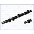 WAŁEK ROZRZĄDU AJUSA 93080400 FIAT 1.9JTD 98-