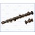 WAŁEK ROZRZĄDU AJUSA 93039600 VW 1.6 94-95