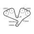 PASEK ROZRZĄDU GATES 5442XS MITSUBISHI 3.5 94-