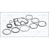 KOMPLET USZCZELEK BLOKU AJUSA 54139400 VW 1.9-2.0D 00-