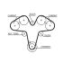 PASEK ROZRZĄDU GATES 5476XS ALFA ROMEO 2.5-3.0 97-