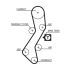 PASEK ROZRZĄDU GATES 5451XS FORD 1.8D 95-