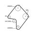PASEK ROZRZĄDU GATES 5355XS FORD 2.0D-2.2D 84-