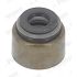 USZCZELNIACZ ZAWOROWY PAYEN PA928 DAEWOO 0.8-2.4 91-