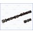 WAŁEK ROZRZĄDU AJUSA 93115100 FORD 1.6 01-