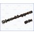 WAŁEK ROZRZĄDU AJUSA 93115200 FORD 1.6 01-