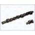 WAŁEK ROZRZĄDU AJUSA 93002500 FIAT 1.7D/TD 90-97