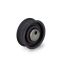 NAPINACZ PASKA INA 531008310 VW -2.0 16V