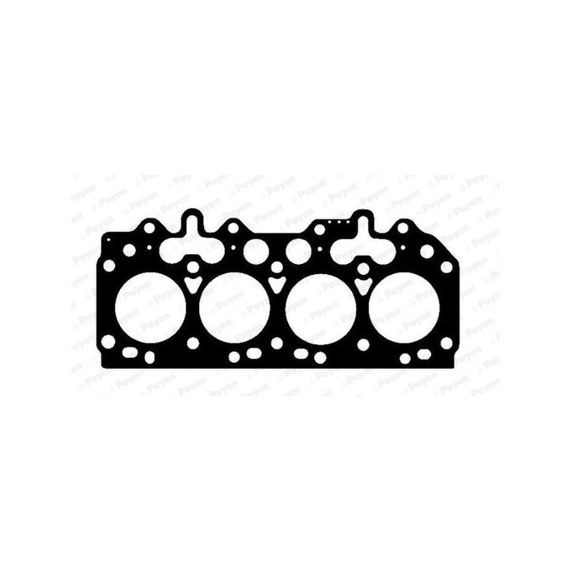 USZCZELKA GŁOWICY PAYEN BY490 ROVER 2.5TDI RANGE ROVER 3k 89-98