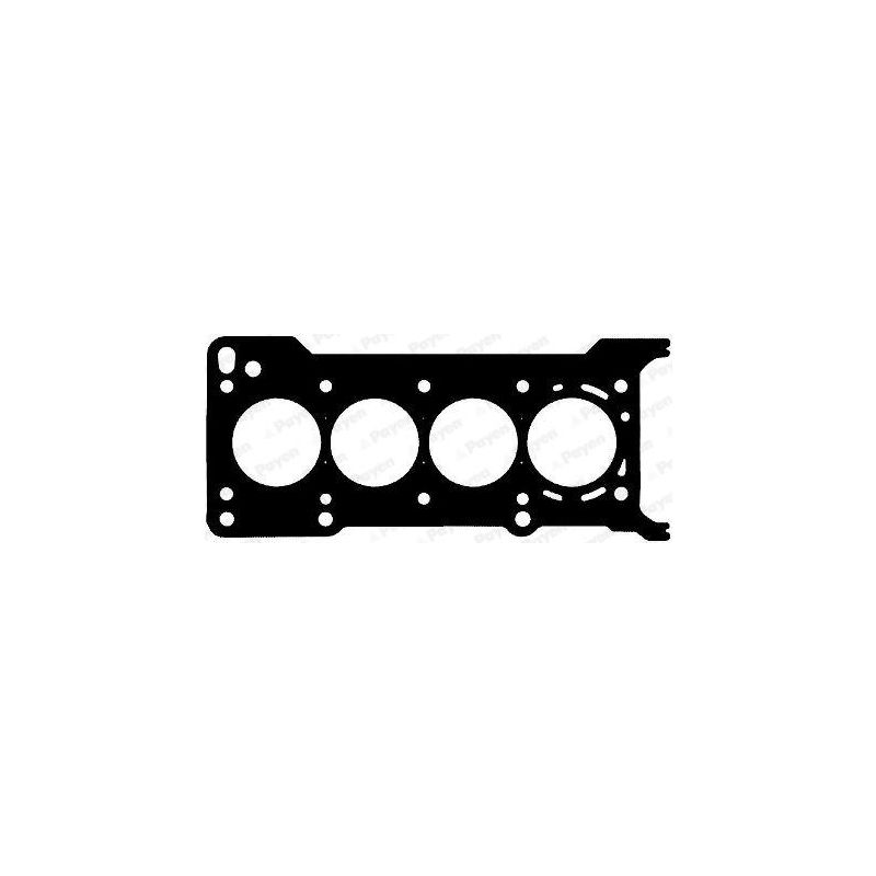 USZCZELKA GŁOWICY PAYEN AG8170 MAZDA 1.6 03-