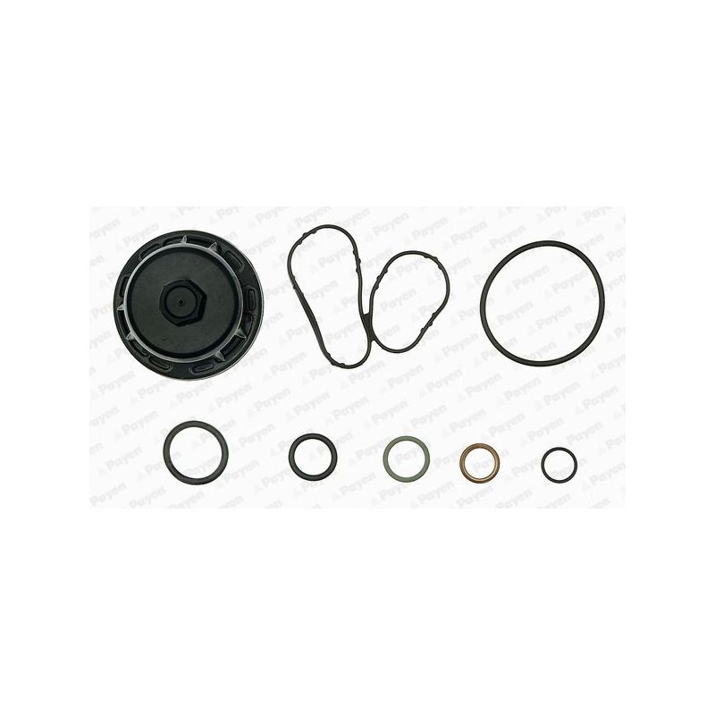 KOMPLET USZCZELEK BLOKU PAYEN EG9760 RENAULT 2.0D 05-